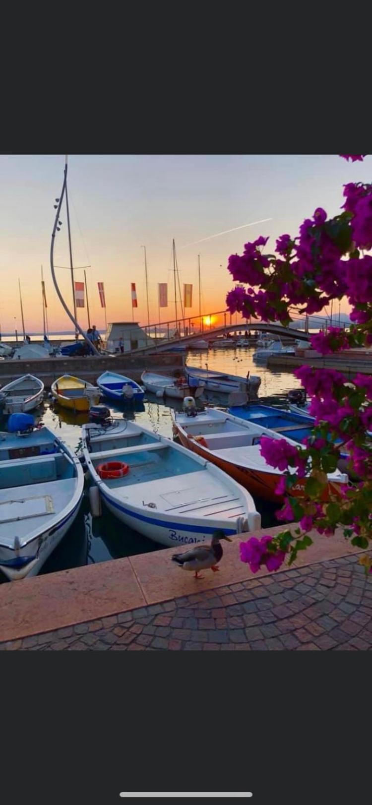 Canevon Suite Apartment Bardolino Kültér fotó